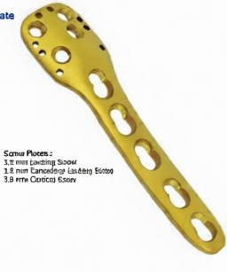 Proximal Humorous Locking Plate